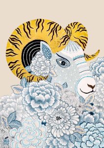 奇幻生物